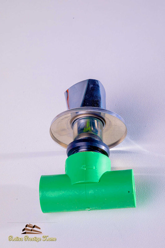 PPR GATE VALVE